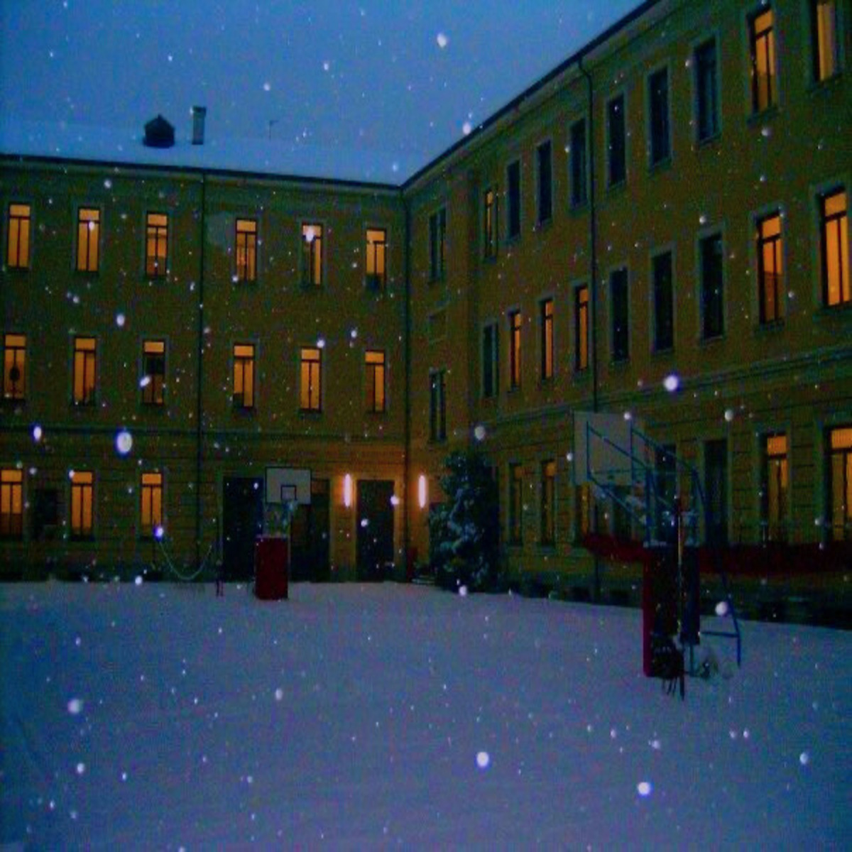 Christmas Alone